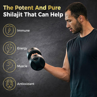 Zooone Pure Himalayan Shilajit Gummies