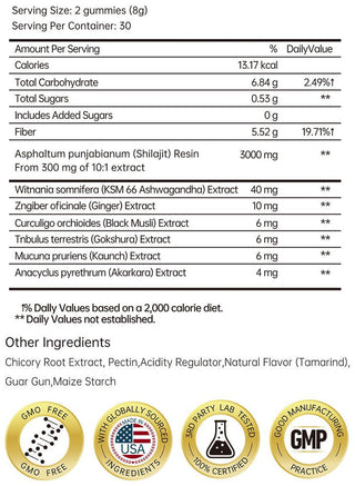 Zooone Pure Himalayan Shilajit Gummie
